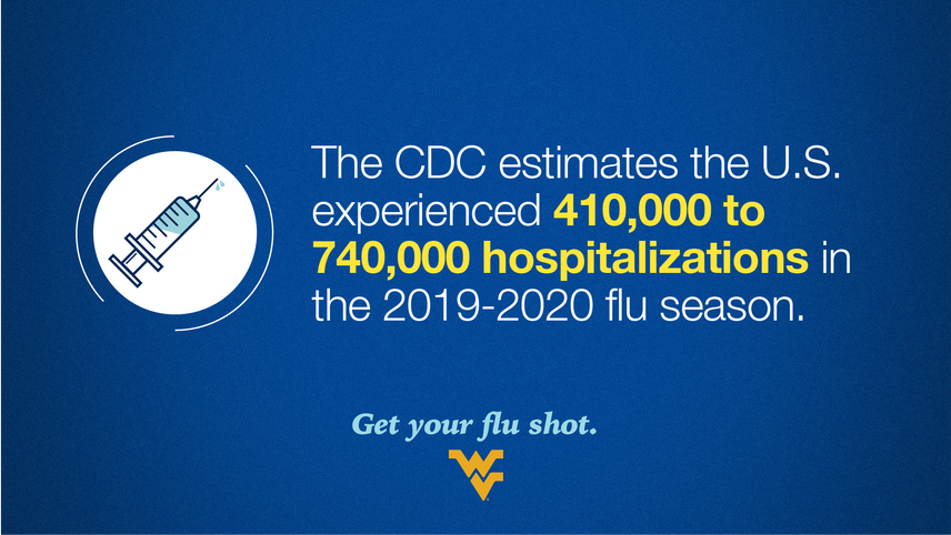 The CDC estimates the U.S. experienced 410,000 to 740,000 hospitalizations in the 2019-2020 flu season.